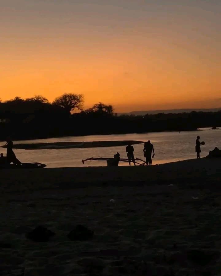Amani African Safari Guest Moment 44